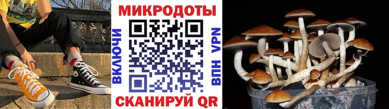 Галлюциногенные грибы Psilocybe  МЕГА ТОР  Большой Камень  цены наркотик 